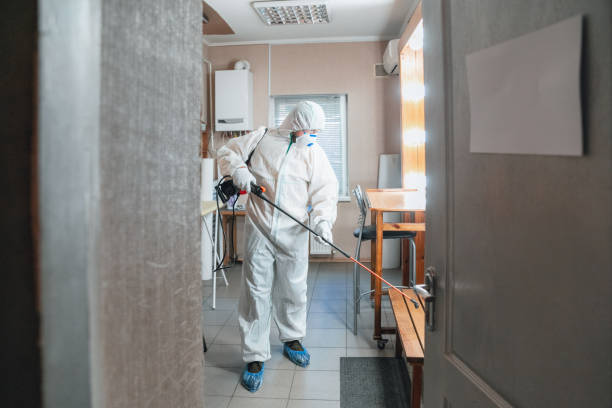  Chadbourn, NC Mold Removal Pros