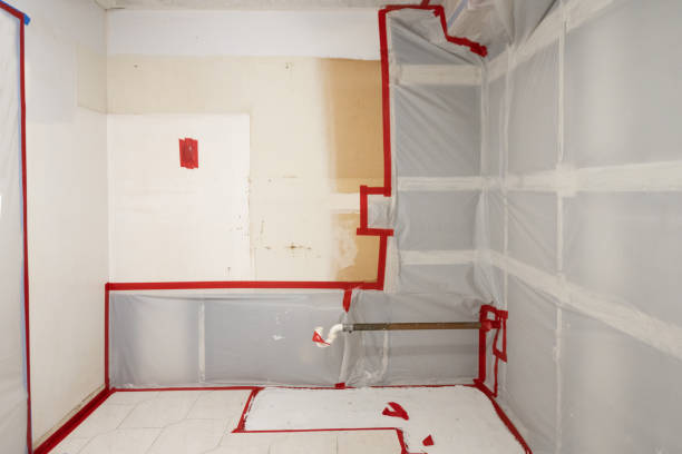 Mold Odor Removal Services in Chadbourn, NC
