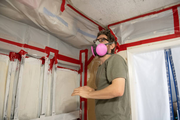 Best Mold Remediation for Healthcare Facilities  in Chadbourn, NC