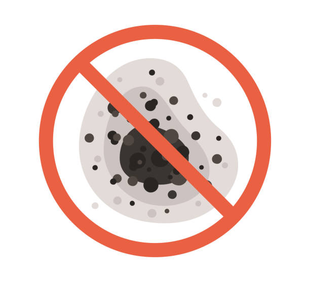 Best Mold Damage Restoration  in Chadbourn, NC
