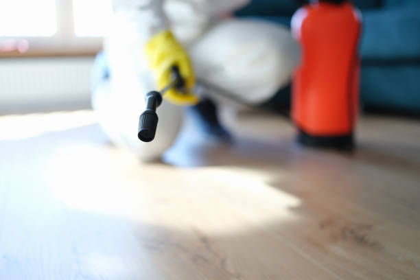 Best Forensic Mold Investigation  in Chadbourn, NC