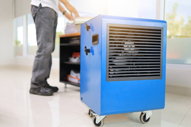 Best Dehumidification Services  in Chadbourn, NC